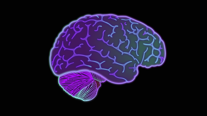 Right Brain Night Light