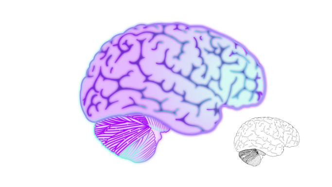 Right Brain Day Glow